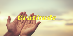 Gratitude